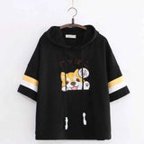 
Black Shiba Dog