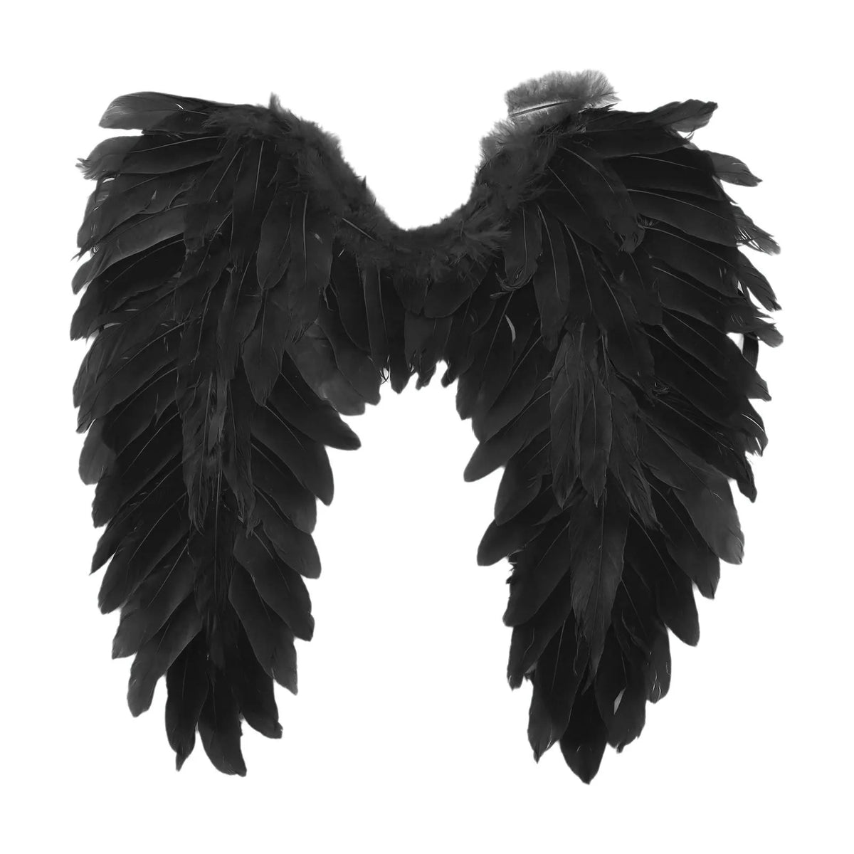 Black feather angel wings, front view