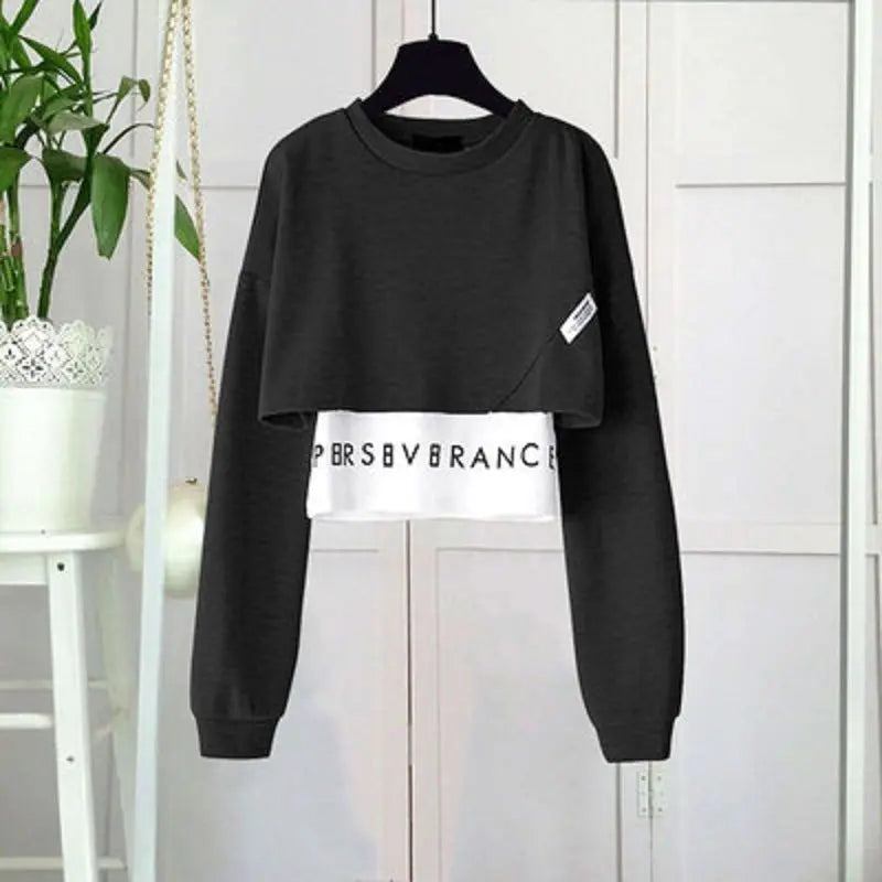 Spring Autumn Fashion Sportswear Suit Korean Sweater - Vusy Kawaii Shop