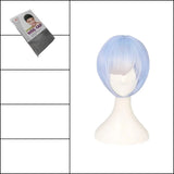 
Wig 1