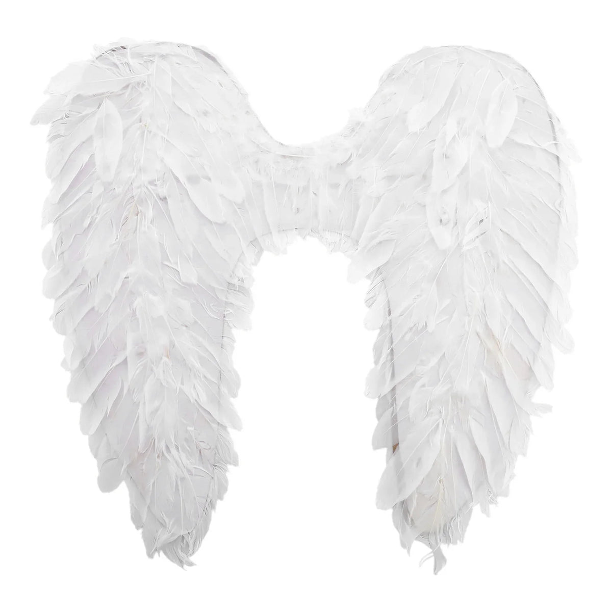 White feather angel wings front view, close-up