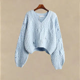 
Nur ein blauer Pullover